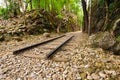 forest pathway with old railroad track surrounding with natural tree, leaf, stone in national park Royalty Free Stock Photo