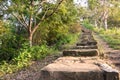 Forest pathway with stairs Royalty Free Stock Photo