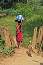 Forest People of India Royalty Free Stock Photo