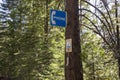 Forest phone sign horizontal Royalty Free Stock Photo