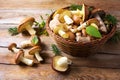 Forest picking mushrooms on the rustic wooden background