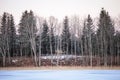 Forest pine and birch trees growing on white frozen lake bank with stacked wood logs in the center Royalty Free Stock Photo