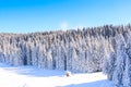 Forest pine trees covered by heavy snow Royalty Free Stock Photo