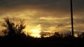 Forest pine trees silhouette against colorful clouds at sunset. Sunset, silhouettes of trees Royalty Free Stock Photo