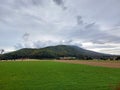 forest on Pohorje Mountains. Slovenia. Autumn. Overcast