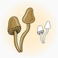 Forest poisonous Vector mushrooms. Vector illustration in cartoon style.