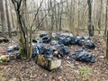 Forest pollution, garbage left in forest