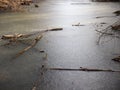 Forest pond at the beginning of winter. Freezing-over Royalty Free Stock Photo