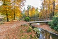 Forest pond with bridge in autumn colors Royalty Free Stock Photo