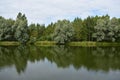 Forest pond creates an atmosphere of peace and tranquility, exotic trees adorn the river on all sides, in the sky clouds, water