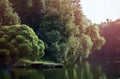 Forest at a pond