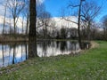 Forest pond park area in autumn winter season with tall walnut trees and blue sky and puffy white clouds Royalty Free Stock Photo