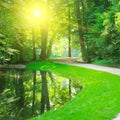 Forest and pond with reflection of trees and sun Royalty Free Stock Photo