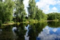 Forest pond. The trees bent their branches over the water. There are clouds in the sky. The sky, clouds, trees, bushes, herbs are Royalty Free Stock Photo