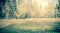 Forest pond Royalty Free Stock Photo