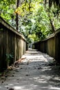 Forest preserve path Royalty Free Stock Photo