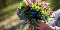 Forest primroses in the hand. In the spring evening forest