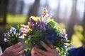 Forest primroses in the hand. In the spring evening forest