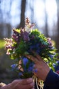 Forest primroses in the hand. In the spring evening forest