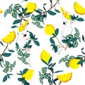 Forest print. Parrot bird in the jungle with in the summer lemon