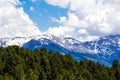 Forest and pyrenees mountains Royalty Free Stock Photo