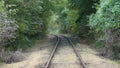 Forest railway in autumn