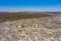 Forest Recovering From Bushfire In Australia