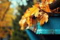 Tree bright maple seasonal foliage background yellow autumn orange leaves nature fall Royalty Free Stock Photo