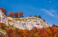 Forest in red foliage on a rocky cliff