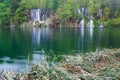 Forest, Reeds, Lake, and Waterfalls in Spring Royalty Free Stock Photo