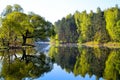 Forest is reflected in the calm blue water of the forest lake. Early morning.