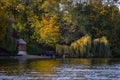 Forest reflected in the lake in autumn season. Beautiful landscape with colorful trees near the blue water Royalty Free Stock Photo