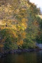 Forest reflected in the lake in autumn season. Beautiful landscape with colorful trees near the blue water Royalty Free Stock Photo