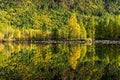 Forest reflected in the perfectly smooth water Royalty Free Stock Photo