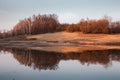 Forest reflecting in the dam