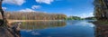 Forest reflection panorama Royalty Free Stock Photo