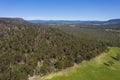 Forest Regeneration After Bushfire In The Blue Mountains
