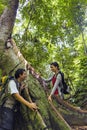 Forest Research Institute Malaysia Royalty Free Stock Photo