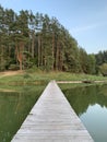 Forest reservoir in the middle of beautiful nature. Fishing platform on the lake. A pier for fishermen with access to the water. Royalty Free Stock Photo