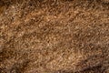 Forest residues mulched as wood chips used for heating. Pile of wood chip particles for biomass boiler, above view