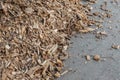 Forest residues mulched as wood chips used for heating. Pile of wood chip particles for biomass boiler, view from above