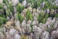 Forest, river, aerial landscape. Nature at early spring. Treetops, aerial view Royalty Free Stock Photo