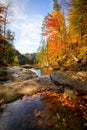 Forest river in autumn in Austria Oetscher Canyon