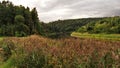 Forest river and autumn trees