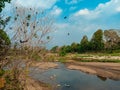 Forest River become a small River