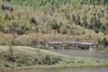 Forest, river, bridge, the perfect combination of nature and person