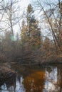 Forest River in the early spring at sunset Royalty Free Stock Photo