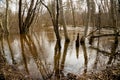 the forest river flooded the trees in early spring after the snow melted Royalty Free Stock Photo