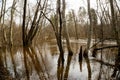 the forest river flooded the trees in early spring after the snow melted Royalty Free Stock Photo