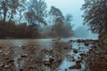 Forest river and fog in morning Royalty Free Stock Photo
